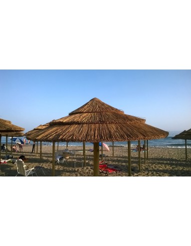 Sombrillas de Junco Africano