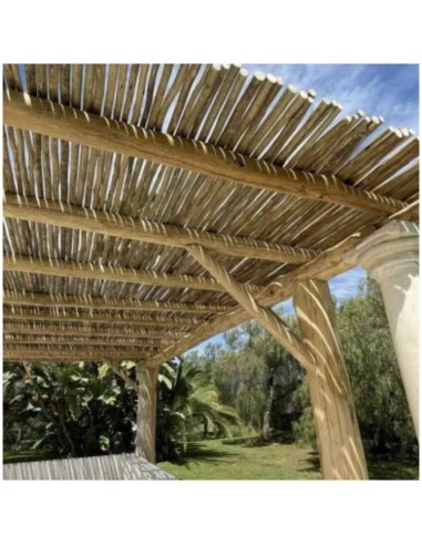 Pack 10 ud Palos Postes Tratados de Eucalipto ø 2-5 cm