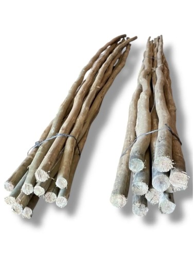 Pack 10 ud Palos Postes Tratados de Eucalipto ø 2-5 cm