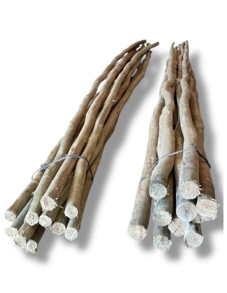 Pack 10 ud Palos Postes Tratados de Eucalipto ø 2-5 cm