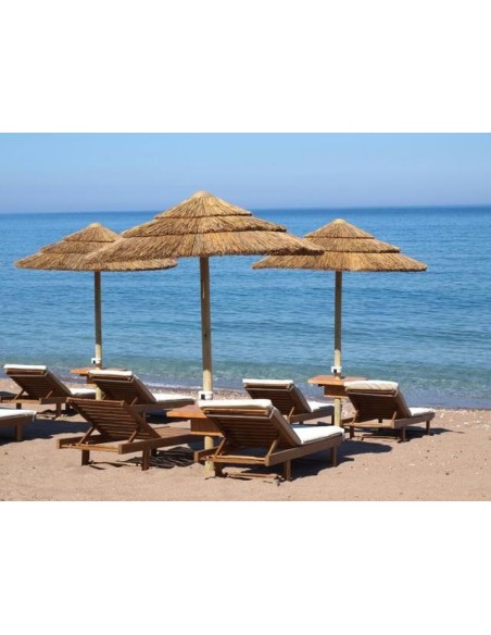 Sombrillas de Junco Africano